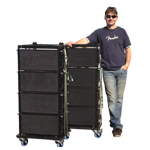 LAIV line array